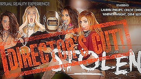 Sexy busty models demo hardcore sex in the pov porn